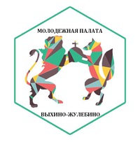 Молодежная палата Выхино-Жулебино приняла участие в благотворительной акции