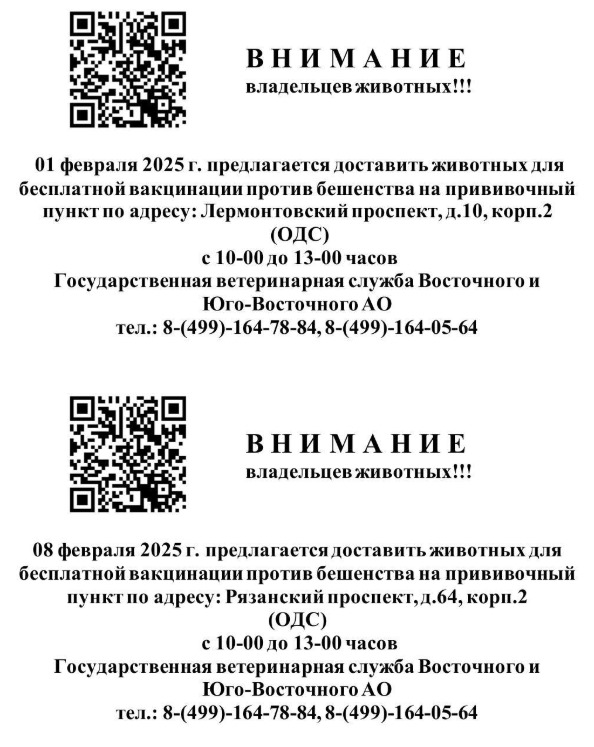 Изображение WhatsApp 2025-01-20 в 10.41.27_75e9e07c.jpg